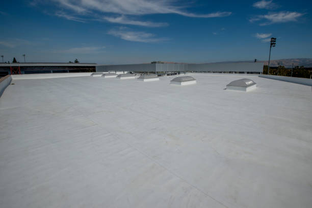 Best Green or Eco-Friendly Roofing Solutions  in Day Heights, OH